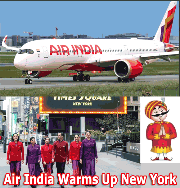 Air India Maharajah, Air INdia plane